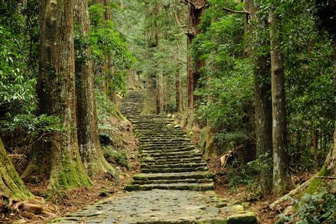 大門坂　写真提供：公益社団法人　和歌山県観光連盟